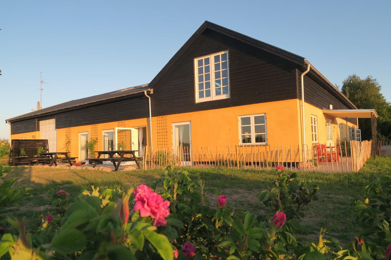 Bed & Breakfast Du Nord Vejby Exterior foto